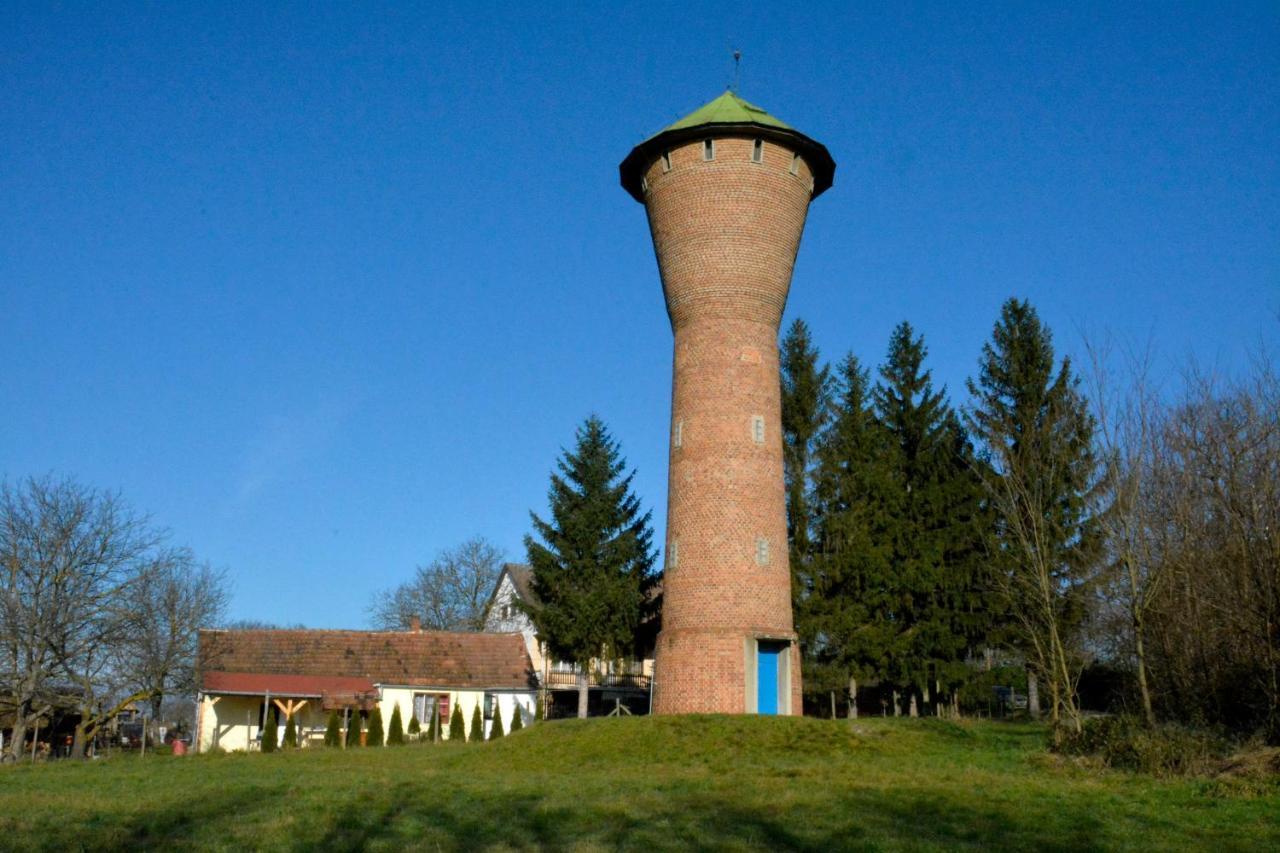 Apartman Főnix
